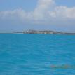 A lizard rock on Caicos...